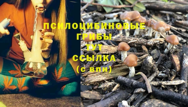 амф Алзамай