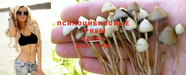 амф Алзамай